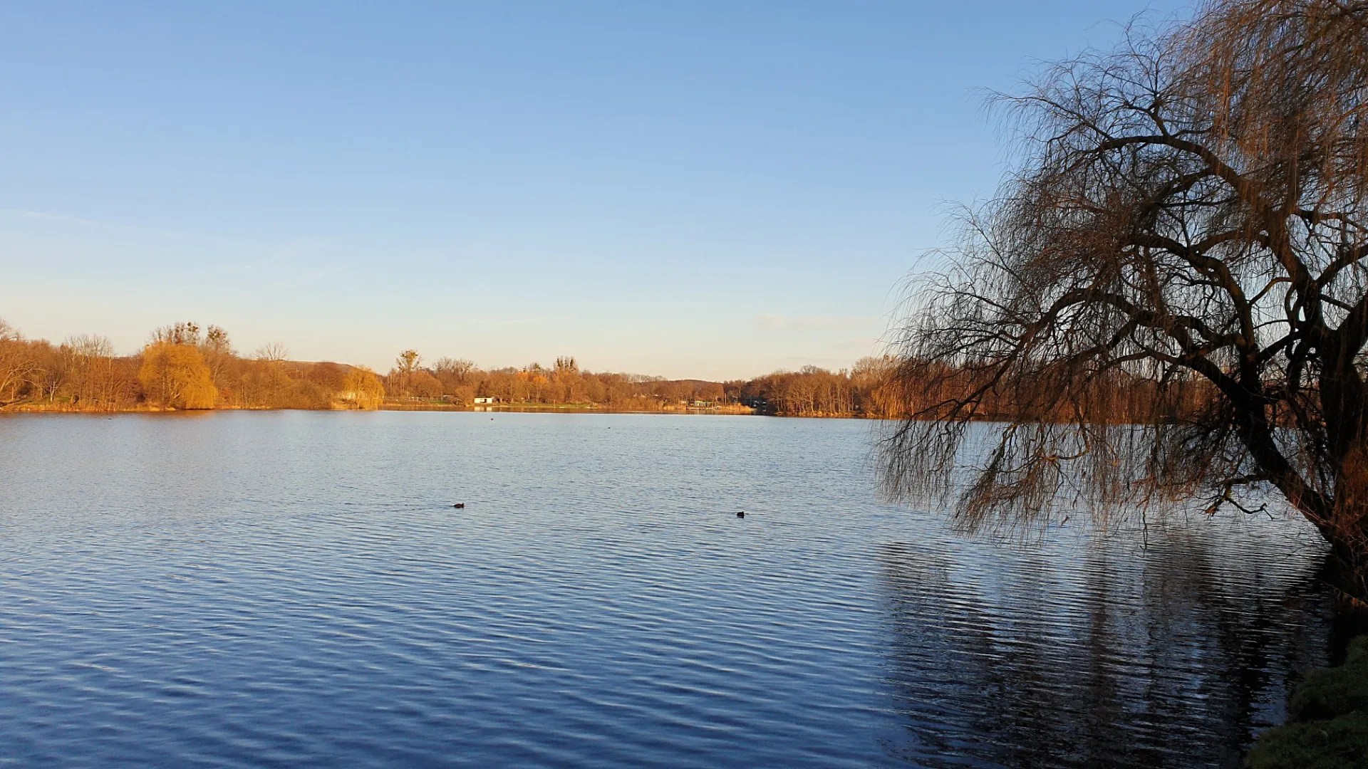 Adolfosee